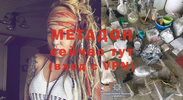 твердый Аркадак